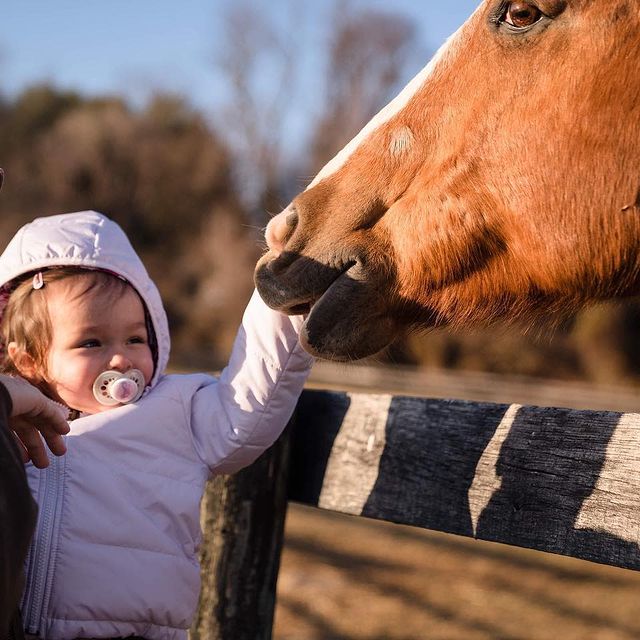 a baby with a pony
