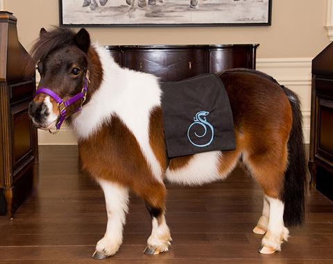 Keeping Up With Cupcake