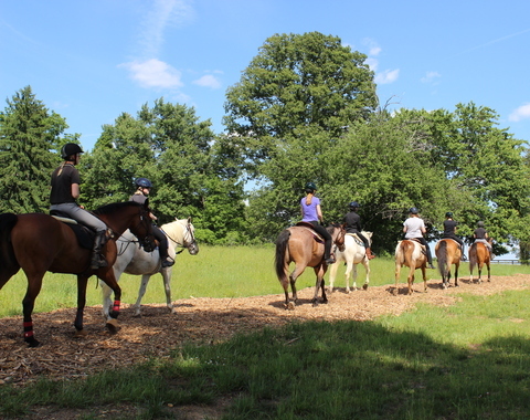 Equestrian Experience