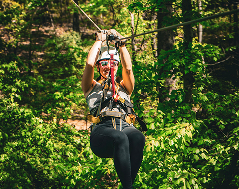Treetop Zip Tour