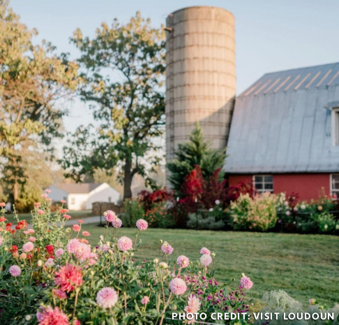 Hope Farm