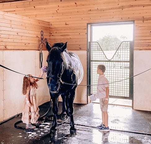 Children Pet Horse in Stables