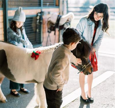Children petting pony