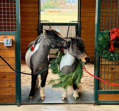 Girl twirling in front of Christmas tree