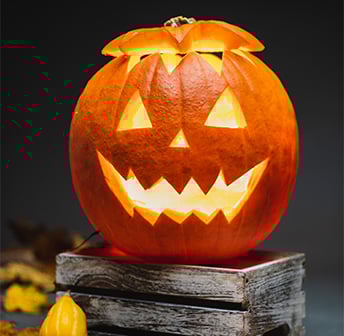 Halloween Zipline Adventure