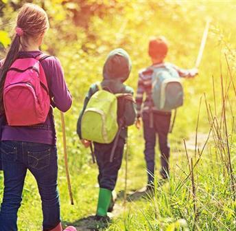 Guided Hike