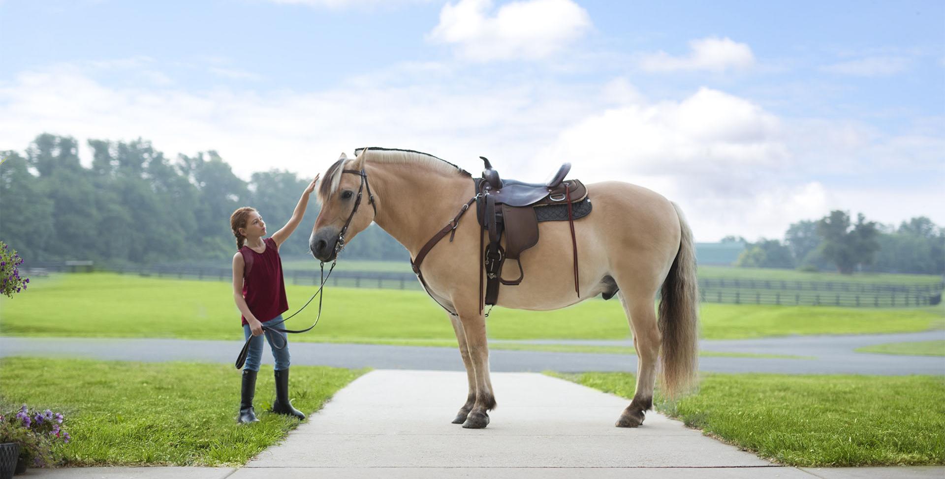 activities: a girl with a horse
